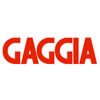 Centro Assistenza Gaggia Palermo